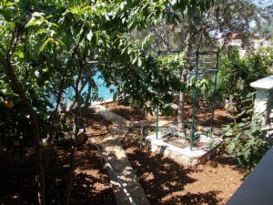 Appartamento-Nikol-Giardino-01