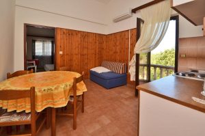 Borovina-apartment1-Wohnzimmer-02-2017-Bild-02