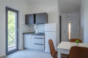 borovina-apartment1-livingroom-kitchen-06-2026-pic-02