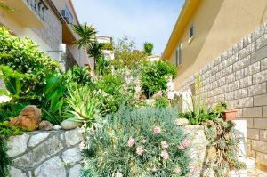 ranko-apartment2-terrace-greenery-05-2018-pic-01