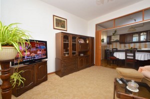 seme-apartment1-livingroom-02