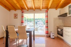 Darinka-apartment3-Kitchen-10-2018-pic-01