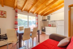 Darinka-apartment3-Kitchen-10-2018-pic-02