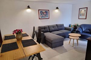 ena-apartment1-livingroom-dining-area-02