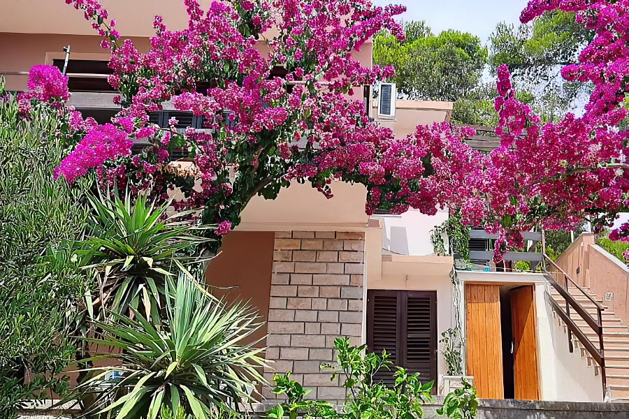 korcula-prizba-apartments-ena-house-05