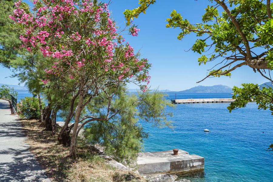 Haus-zu-Miete-bacic-prigradica-Beach-06-2026-Bild-02