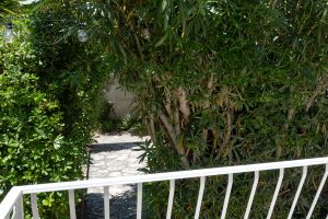 house-frankii-terrace-surroundings-04