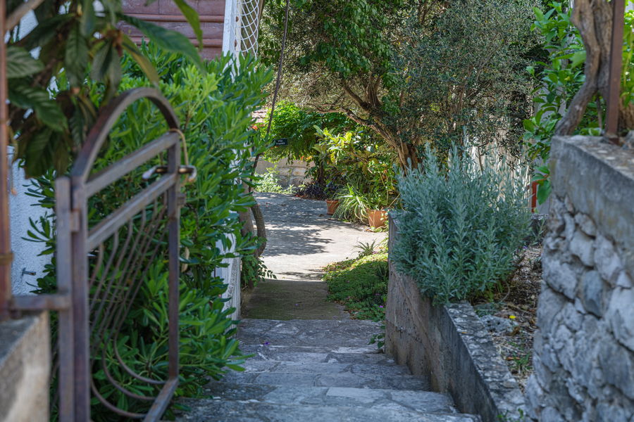 villas-franafrankii-03